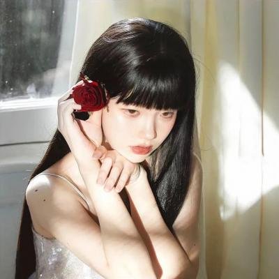 狗纹龙爸爸